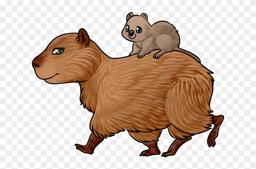 Detail Capybara Transparent Background Nomer 44