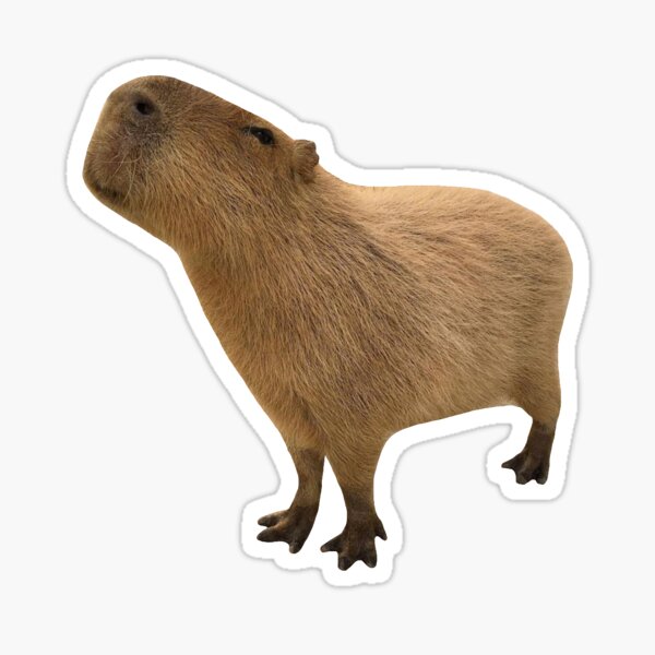 Detail Capybara Transparent Background Nomer 45