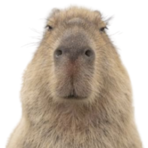 Detail Capybara Transparent Background Nomer 54