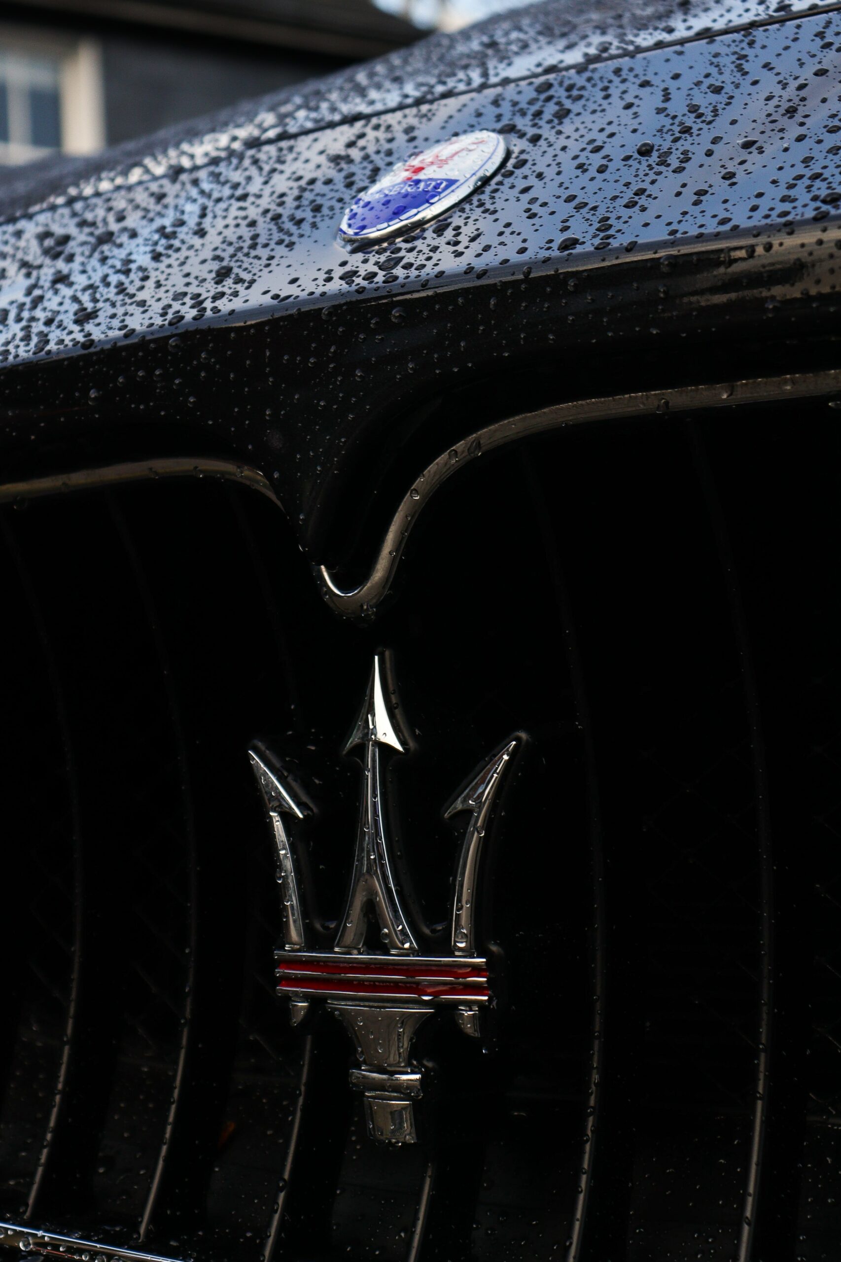 Detail Car Brands Pictures Nomer 46