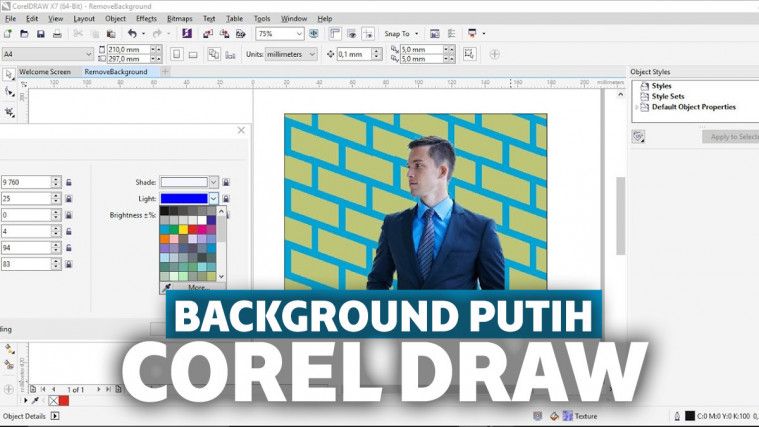 Detail Cara Buat Background Di Corel Nomer 24