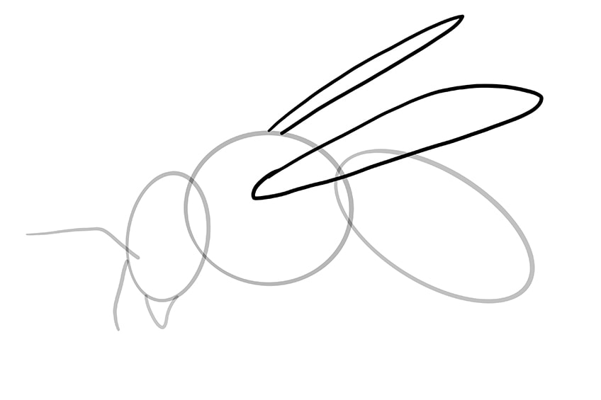 Detail Fliegende Biene Zeichnen Nomer 8