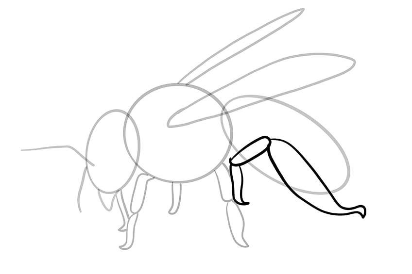 Detail Fliegende Biene Zeichnen Nomer 9
