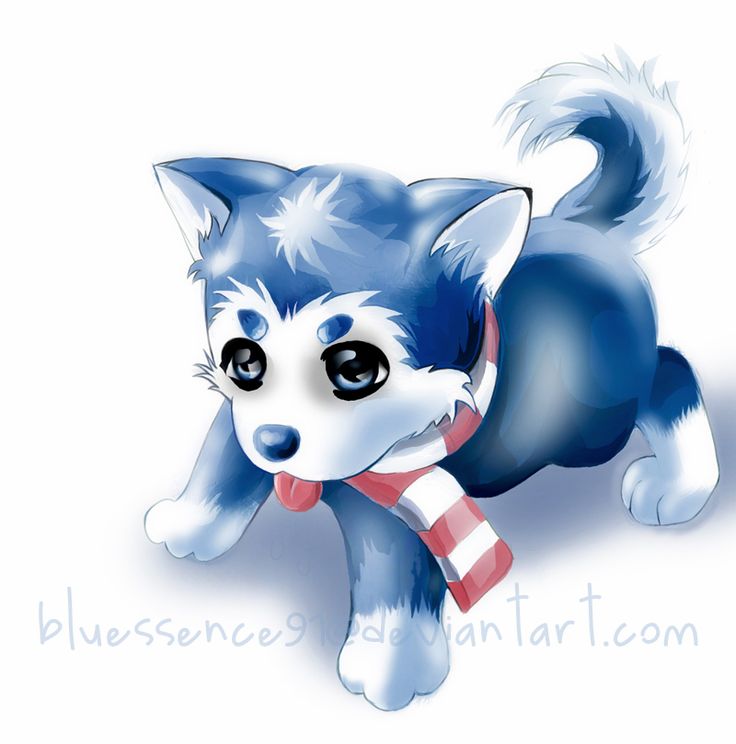 Detail Husky Puppies Nomer 2