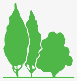 Detail Revit Trees Free Download Nomer 20