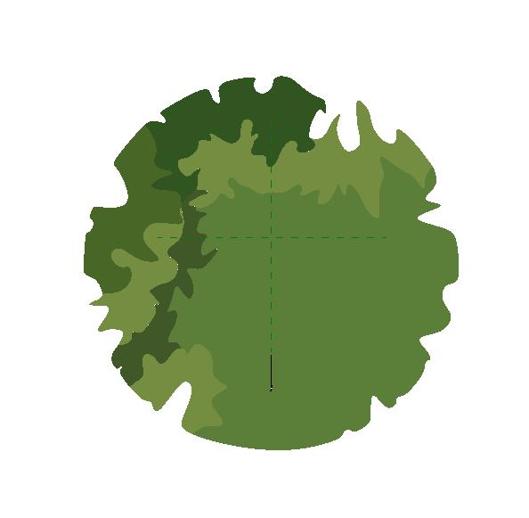 Detail Revit Trees Free Download Nomer 3