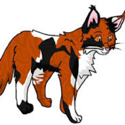 Detail Fantasy Fuchs Nomer 14