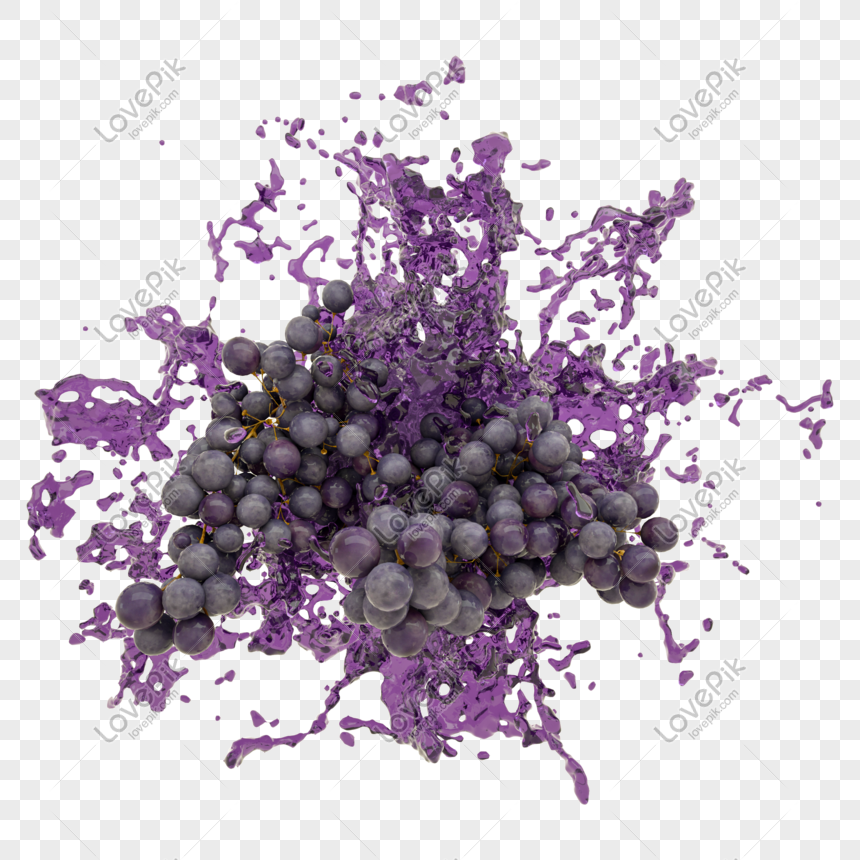 Detail Gambar Anggur Png Nomer 56