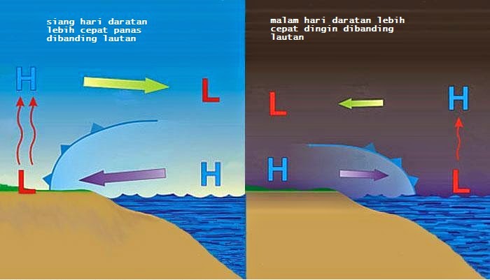 Detail Gambar Angin Darat Nomer 18