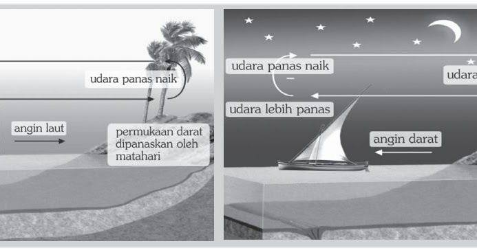 Detail Gambar Angin Darat Nomer 36