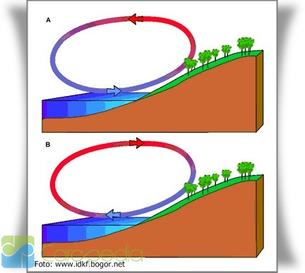 Detail Gambar Angin Darat Dan Angin Laut Nomer 34