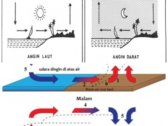 Detail Gambar Angin Darat Dan Angin Laut Nomer 6