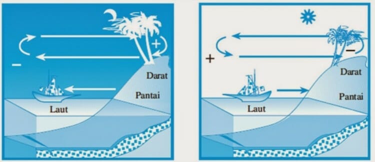 Detail Gambar Angin Darat Dan Angin Laut Nomer 7