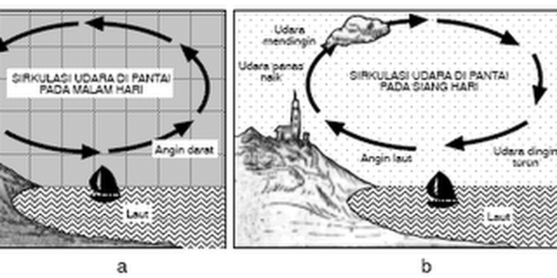 Detail Gambar Angin Laut Nomer 12