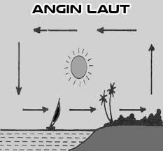 Detail Gambar Angin Laut Nomer 30