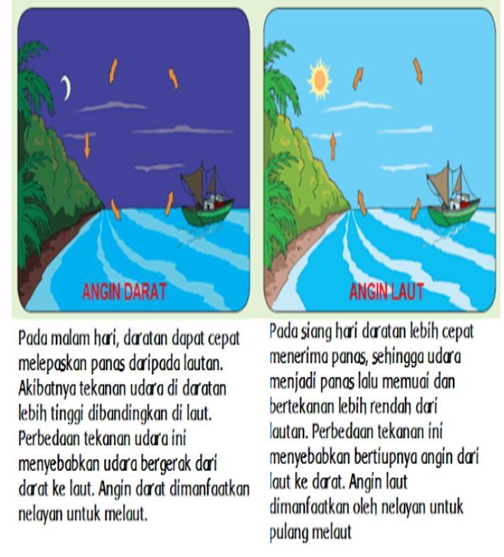 Detail Gambar Angin Laut Nomer 38