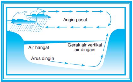 Detail Gambar Angin Pasat Nomer 35