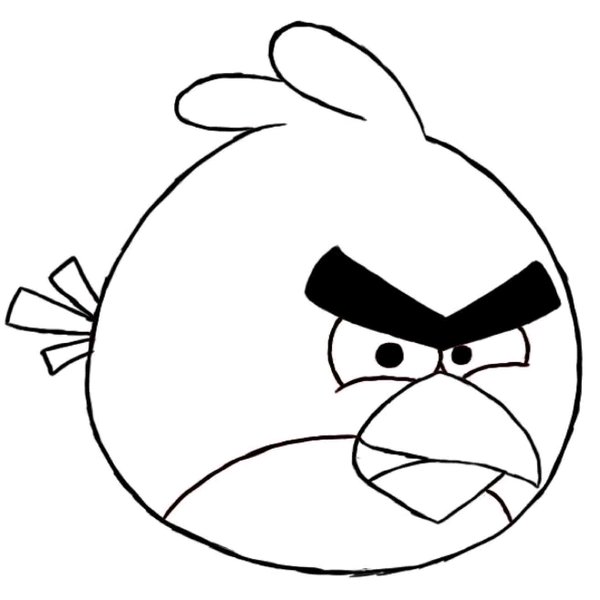 Detail Gambar Angry Bird Hitam Nomer 41