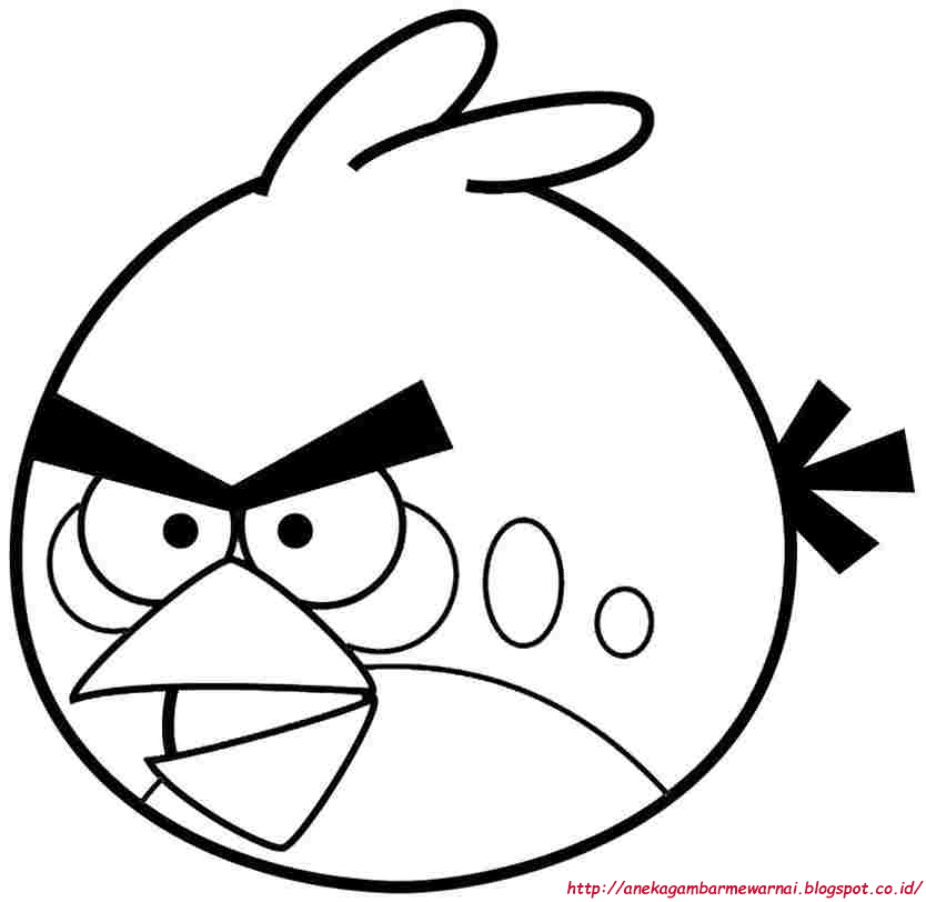 Detail Gambar Angry Bird Hitam Nomer 47