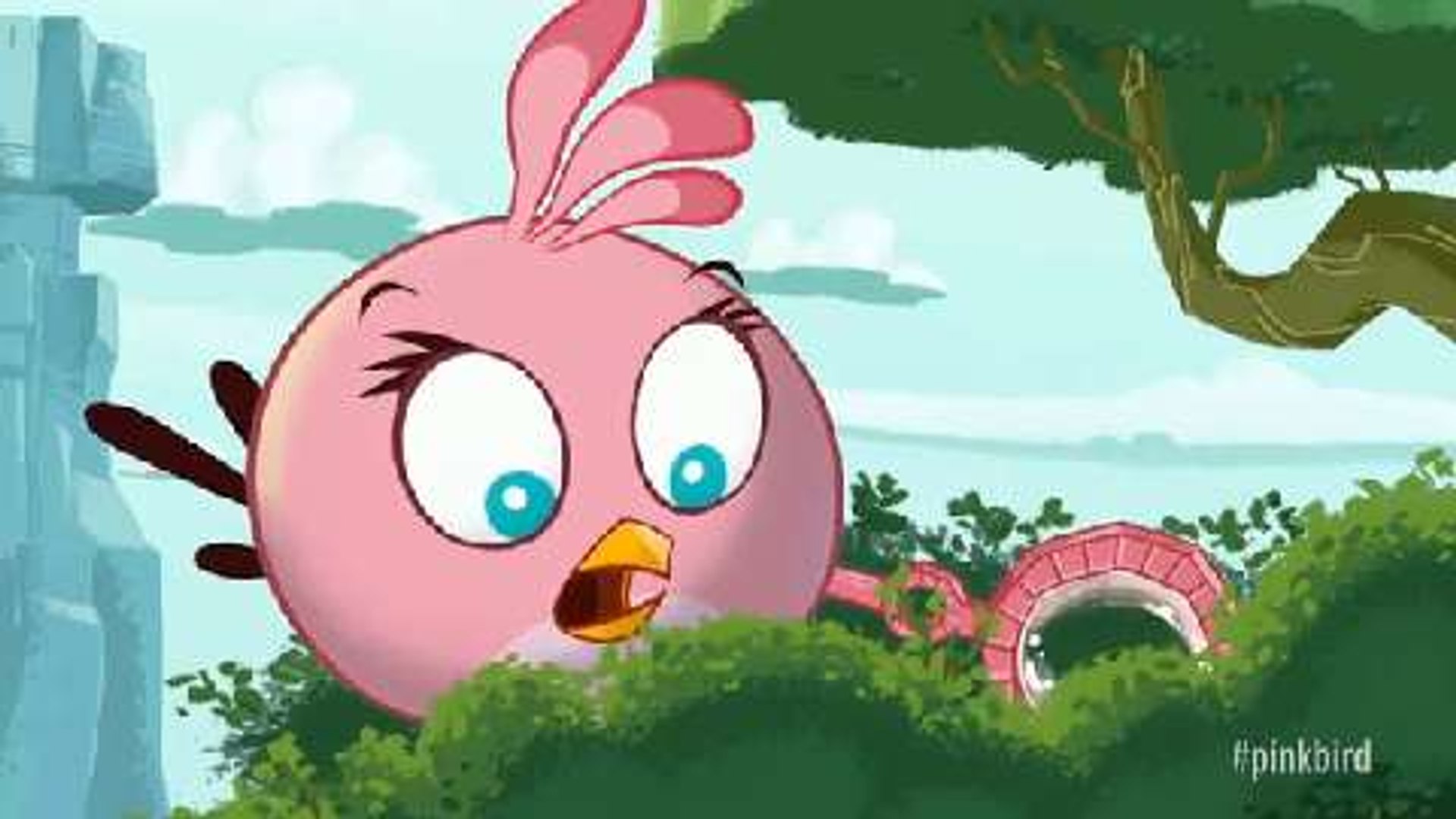 Detail Gambar Angry Bird Pink Nomer 19