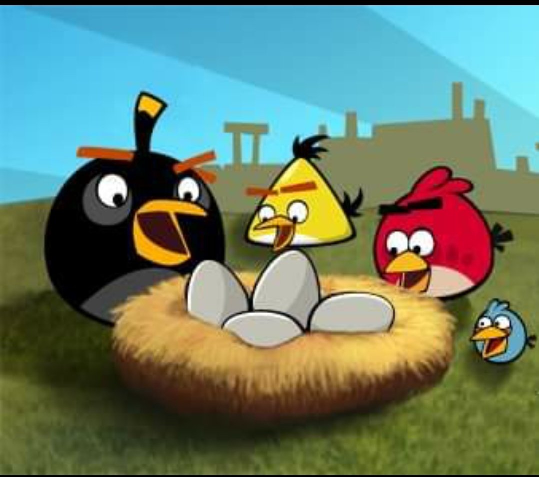 Detail Gambar Angry Birds Bergerak Nomer 39