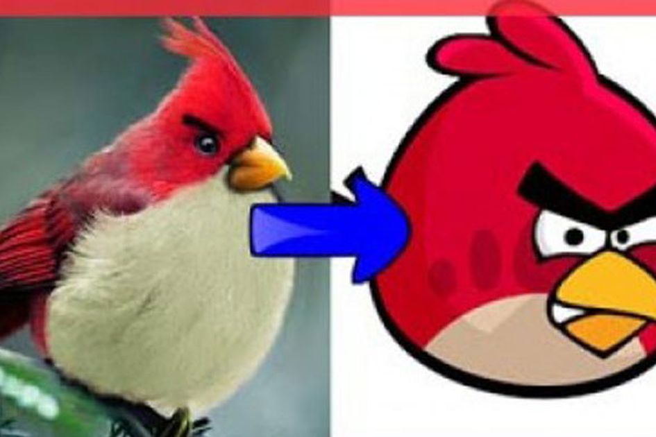 Detail Gambar Angry Birds Kuning Nomer 36