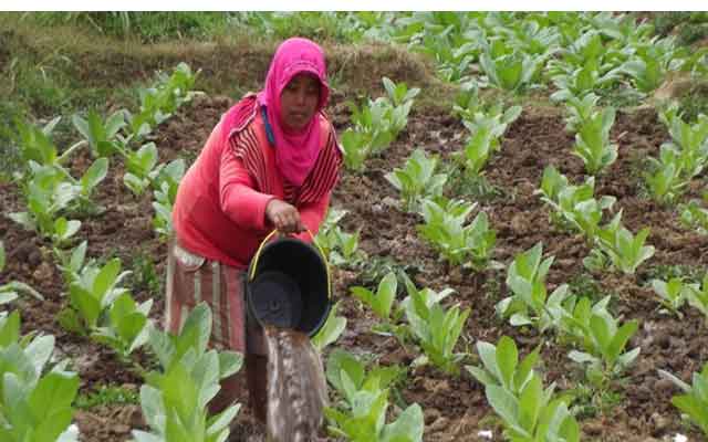 Detail Gambar Animasi Aktivitas Ekonomi Di Bidang Pertanian Nomer 17