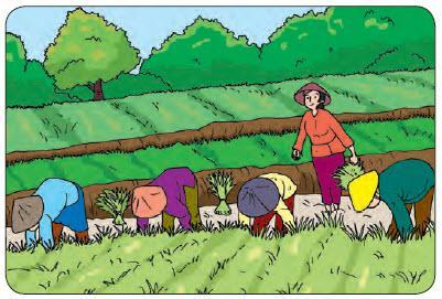 Detail Gambar Animasi Aktivitas Ekonomi Di Bidang Pertanian Nomer 18