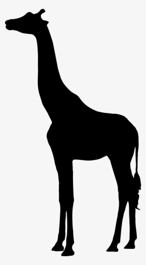 Detail Giraffe Shadow Nomer 9