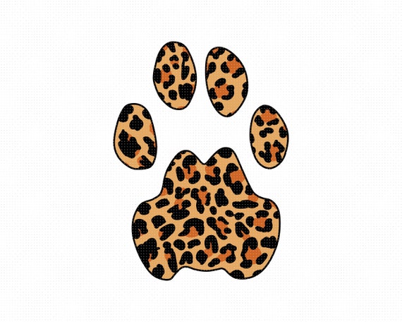 Detail Leopardenmuster Hintergrund Nomer 14