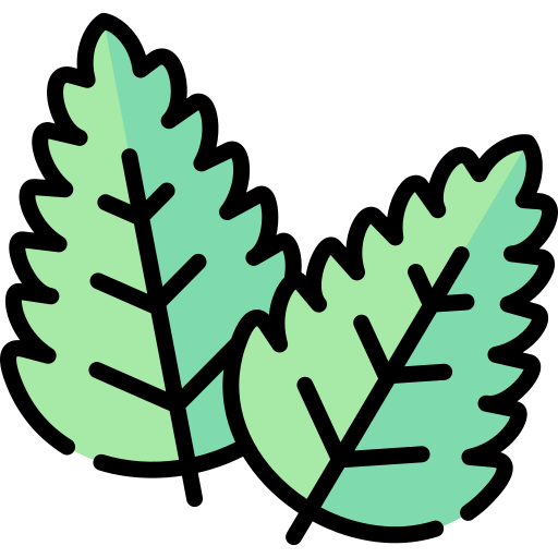 Mint Icon - KibrisPDR