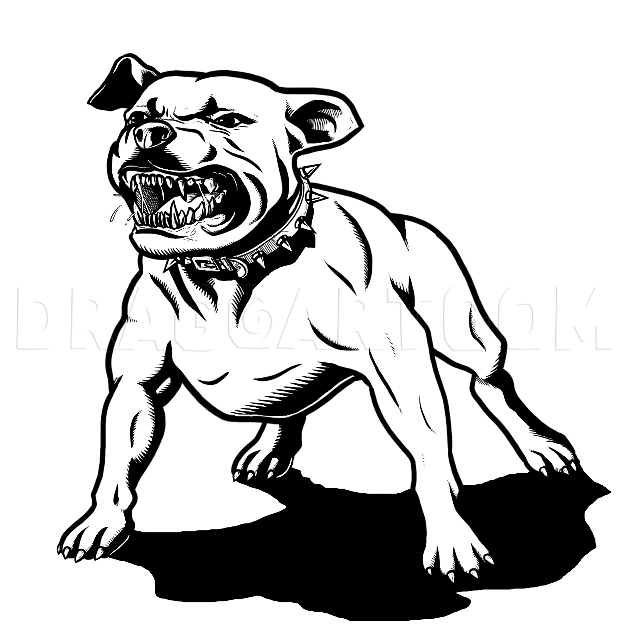 Pitbull Zeichnen Einfach 25 Koleksi Gambar pitbull-zeichnen-einfach-25-koleksi-gambar