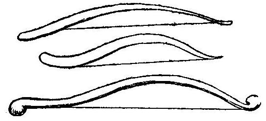 Detail Sentient Bow Nomer 16