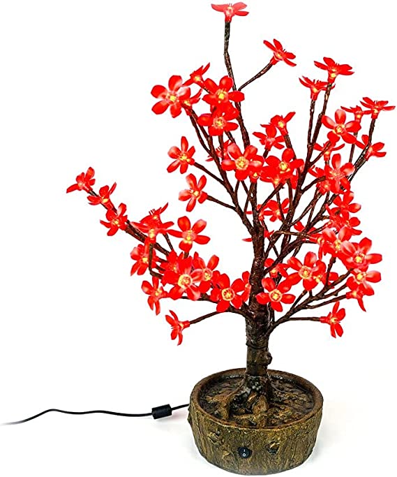 Bonsai Sakura Baum - KibrisPDR