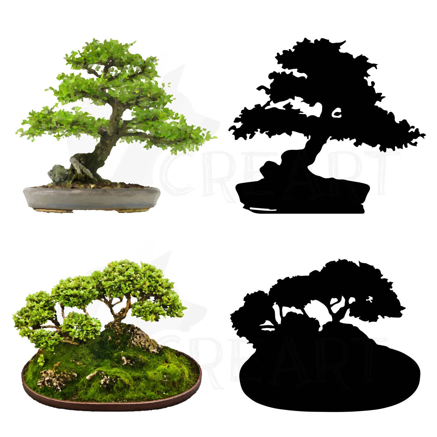 Detail Bonsai Sakura Baum Nomer 10
