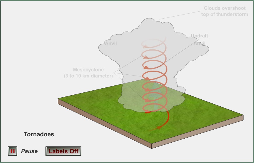 Detail Gambar Animasi Angin Tornado Nomer 37