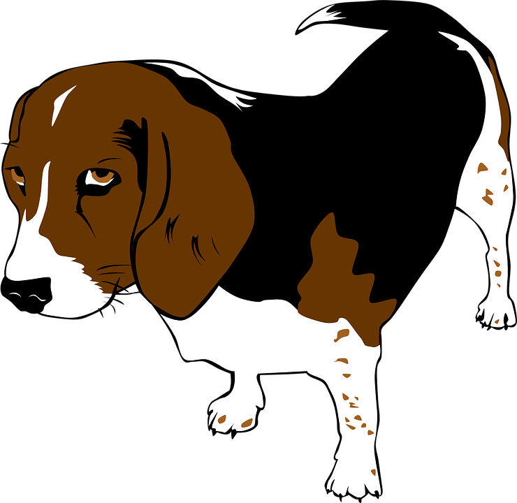 Detail Gambar Animasi Anjing Nomer 52