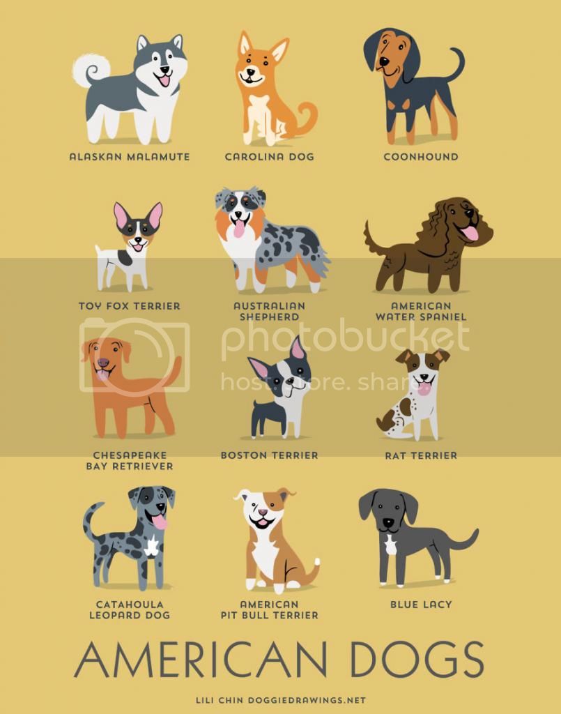 Detail Gambar Animasi Anjing Lucu Nomer 42