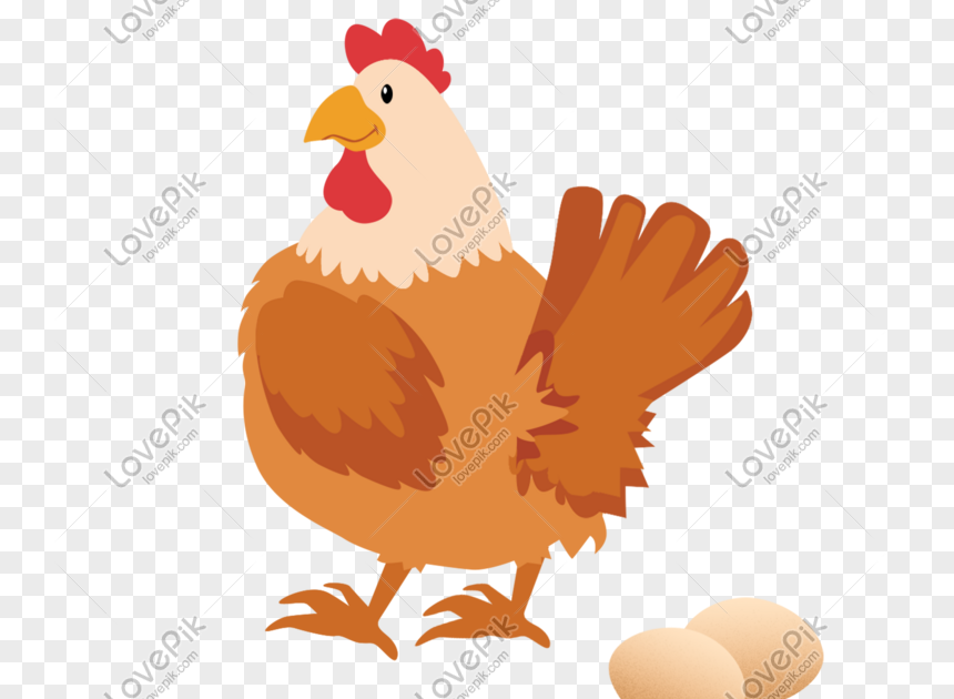 Detail Gambar Animasi Ayam Lucu Nomer 47