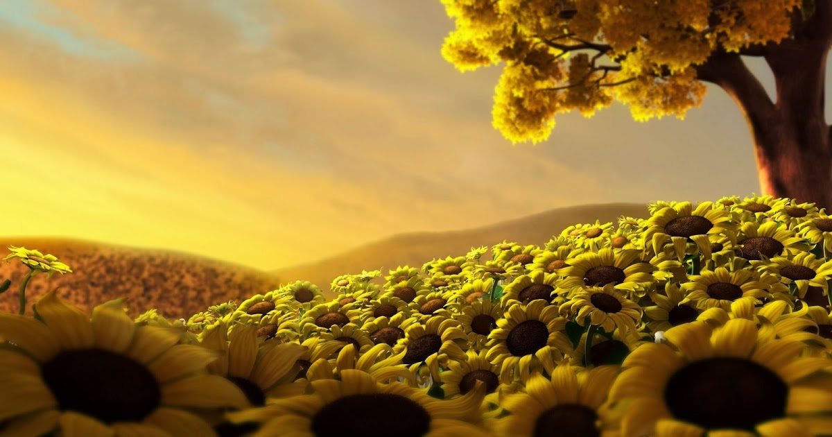 Detail Gambar Animasi Bergerak Bunga Matahari Nomer 32