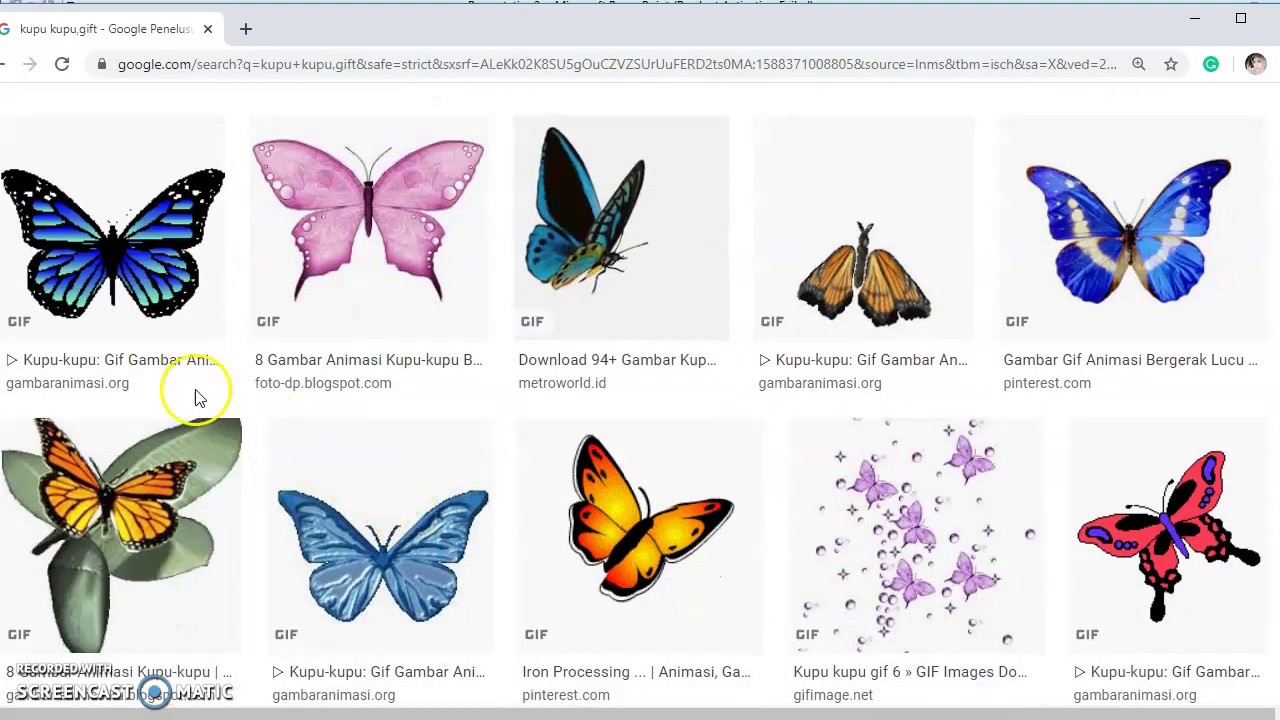 Detail Gambar Animasi Bergerak Kupu Kupu Nomer 37