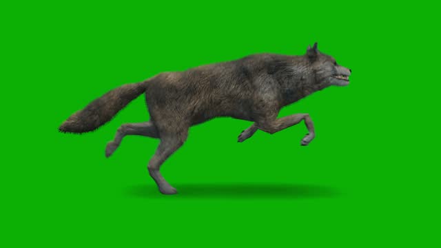 Detail Gambar Animasi Bergerak Wolf Animasi Nomer 31