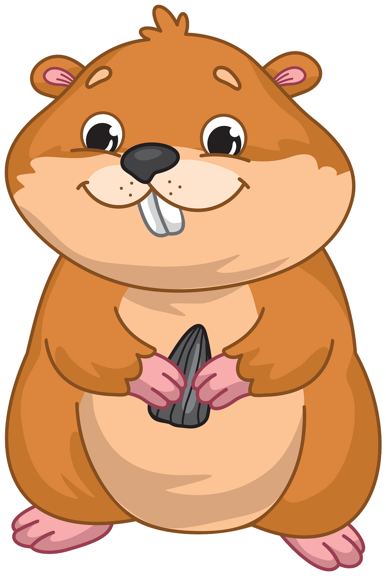 Detail Hamster Bilder Nomer 11