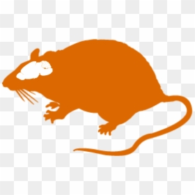 Detail Hearthstone Rat Nomer 20
