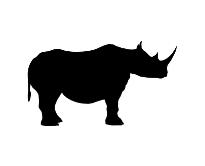Detail White Rhino Gras Nomer 11
