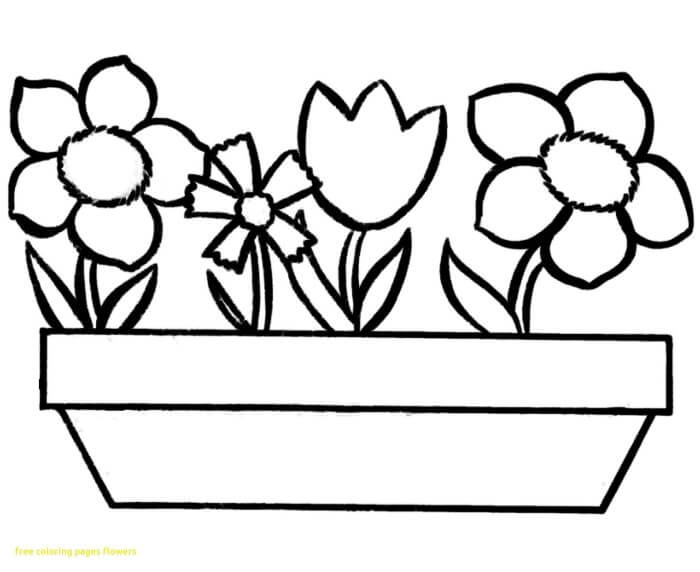 Detail Gambar Animasi Bunga Dalam Pot Nomer 47