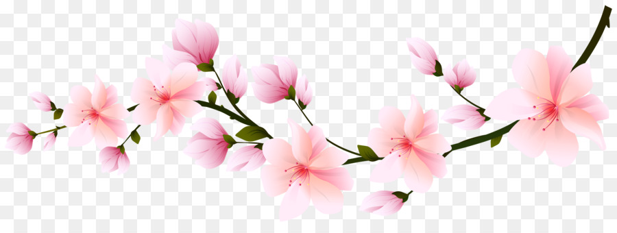Detail Gambar Animasi Bunga Sakura Nomer 52