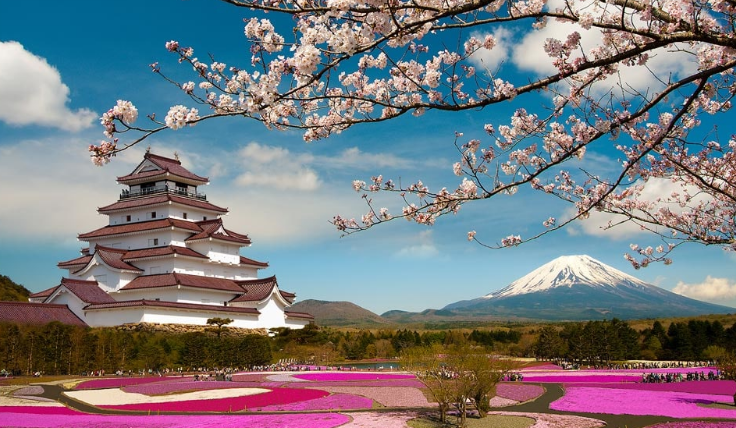 Detail Gambar Animasi Bunga Sakura Berguguran Nomer 41