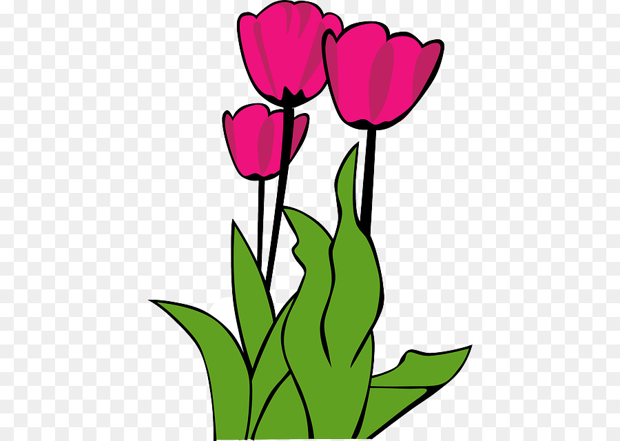 Detail Gambar Animasi Bunga Tulip Nomer 42