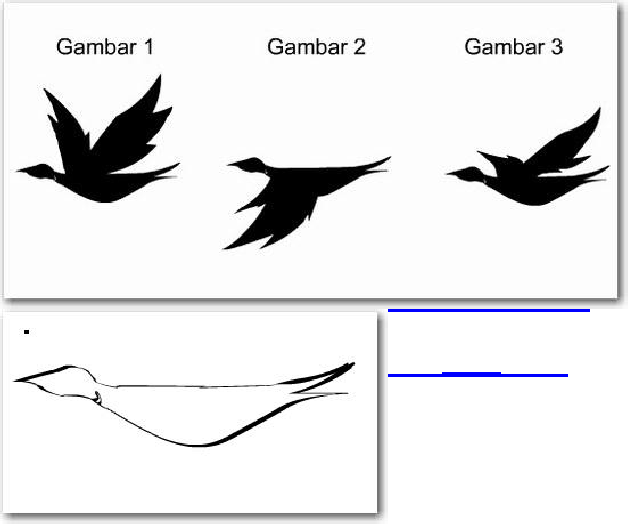 Detail Gambar Animasi Burung Terbang Png Nomer 23